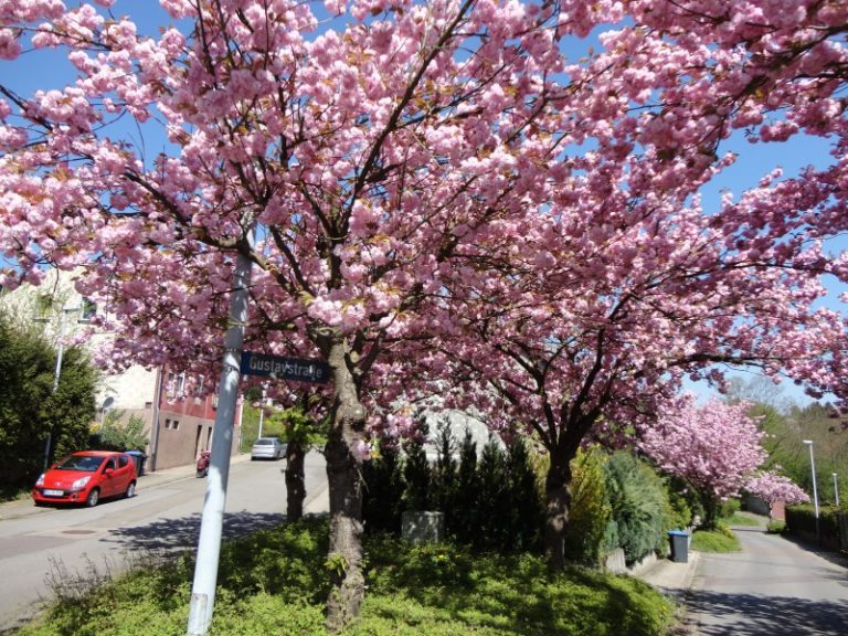 …so schön kann Sulzbach sein.