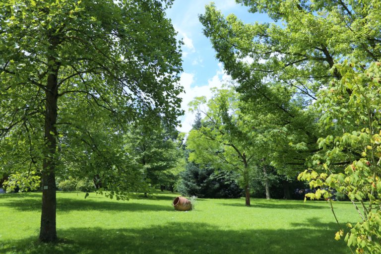 Ende des Botanischen Gartens der Universität Saarbrücken – Ein Nachruf