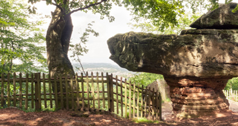 Glüheinwanderung des Wanderclubs Fidele Gesellen: