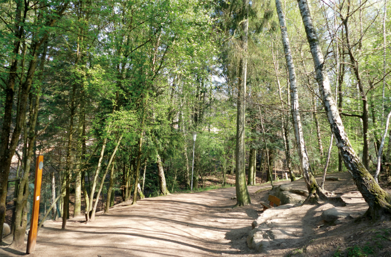 Tag der Artenvielfalt vom 16. bis 18. Juni: Feldbiologen forschen im Nationalpark Hunsrück-Hochwald