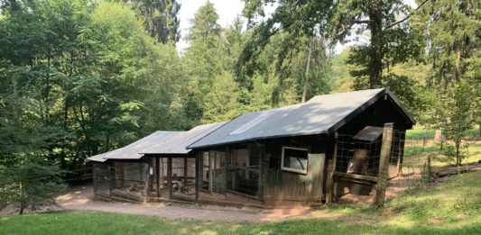 Tierrettung Saarland klagt an: Tierquälerei im Naturpark Kallenborn?