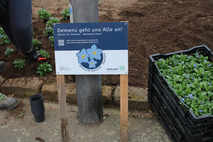 Blumen pflanzen gegen das Vergessen