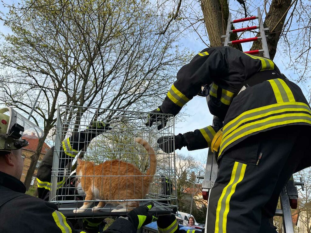 Feuerwehr Rettet Katze | Saarnews