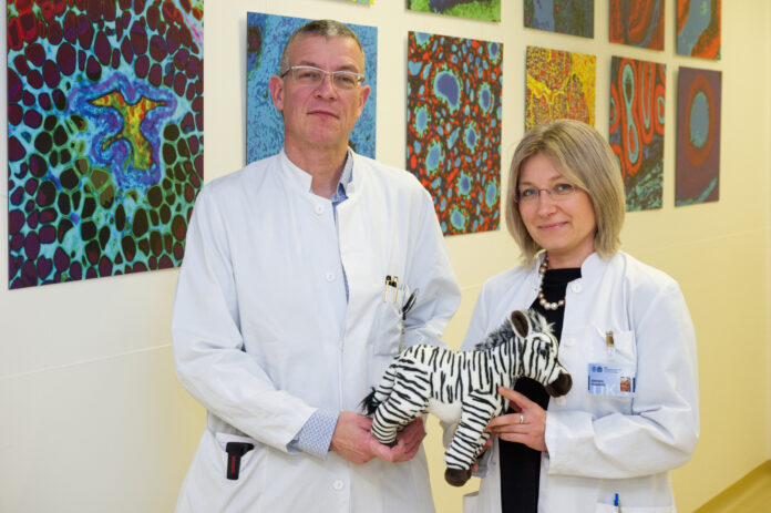 Prof. Dr. Dr. Robert Bals und Katarzyna Rososinska vom Zentrum für Seltene Erkrankungen am UKS haben das Zebra immer im Blick. Die Redewendung 