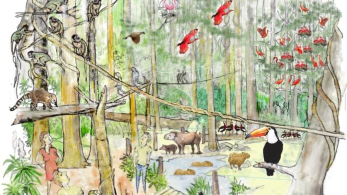 Saarbrücker Zoo plant mit innovativem Masterplan mehr Tierwohl, Erlebnis und Bildung